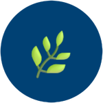 Conservation